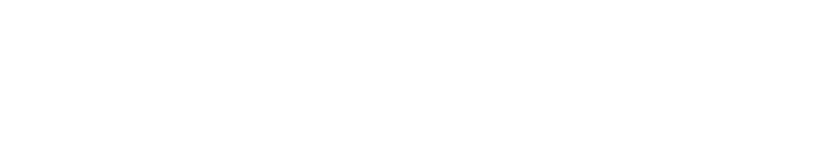 Techtix Global
